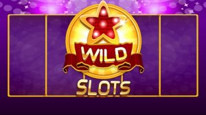 Wild Spin Family Fun