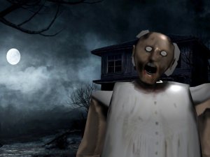 Granny Chase Adventure Game