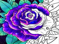 Color by Number Art Puzzle