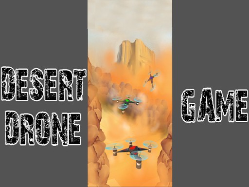 Desert Flyer Arcade
