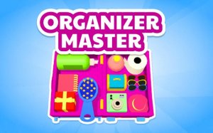 Organizer Master 3D Puzzle Game Online - Ludoryx free online game