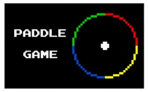 Color Match Paddle Puzzle