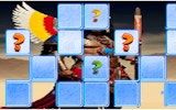 Ashoka Tile Puzzle