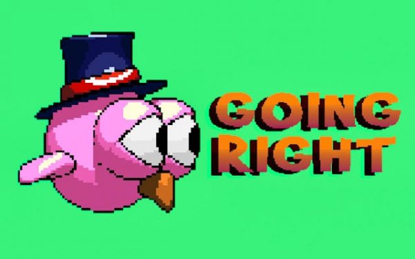 Sky Journey Bird Arcade