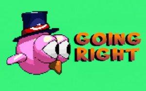 Sky Journey Bird Arcade