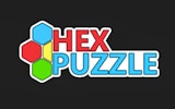 Hexagon Block Fit Puzzle