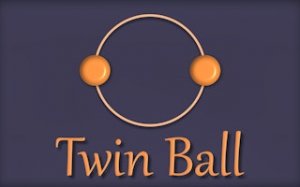 Target Zone Ball Puzzle