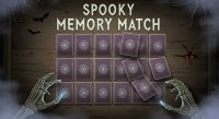 Memory Match Puzzle